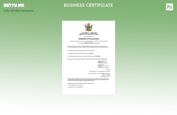 модерен стил Зимбабве сертификат за регистрација на бизнис Шаблон за Word и PDF 